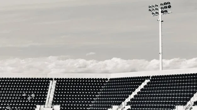 A close-up of solar panels installed on a stadium roof, with a backdrop of the stadium's seating area. The sky is clear and blue, emphasizing the clean energy being harnessed. The image showcases sustainability and environmental consciousness.