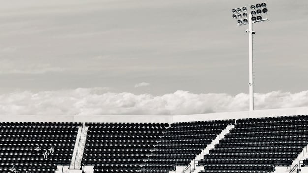 A close-up of solar panels installed on a stadium roof, with a backdrop of the stadium's seating area. The sky is clear and blue, emphasizing the clean energy being harnessed. The image showcases sustainability and environmental consciousness.